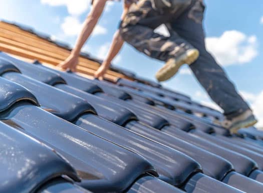 reparacion de tejdos boveda de toro reparacion de tejdos boveda de toro