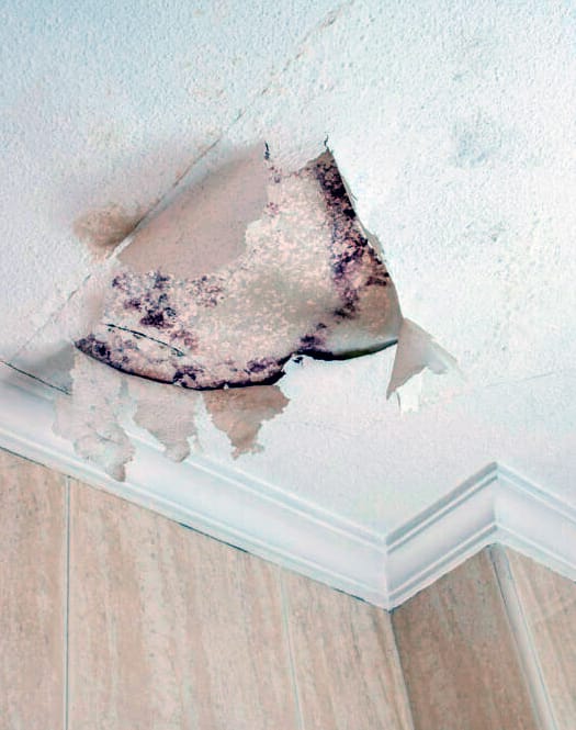 reparacion de goteras urgente benavente reparacion de goteras urgente benavente