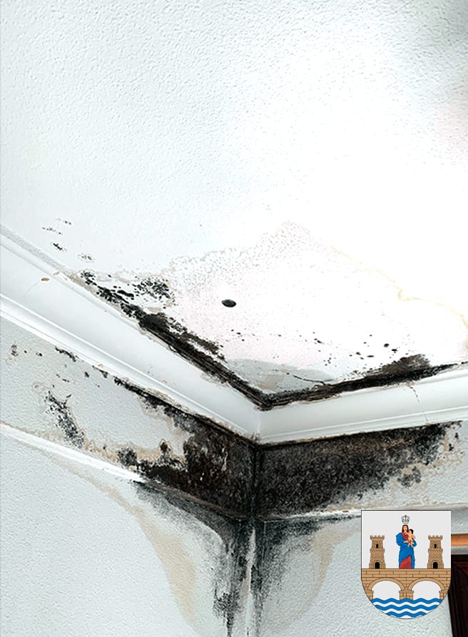 Reparación de Goteras Urgentes en Benavente Reparación de Goteras Urgentes en Benavente